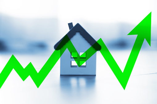 capital growth
