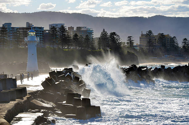 Wollongong City Council